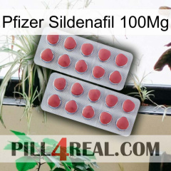 Pfizer Sildenafil 100Mg 19